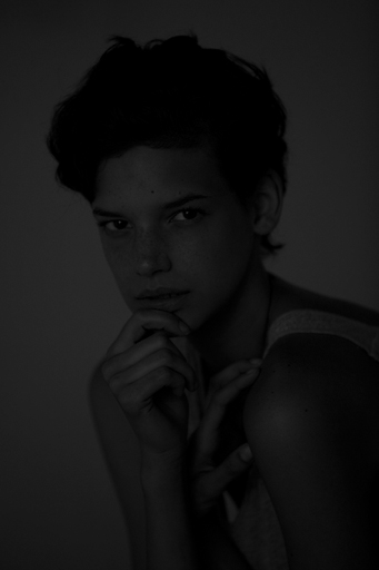 cavalli-1